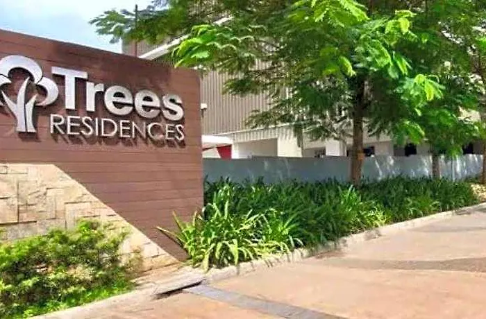 Euphoria Staycation At Smdc Trees Residences Hotel